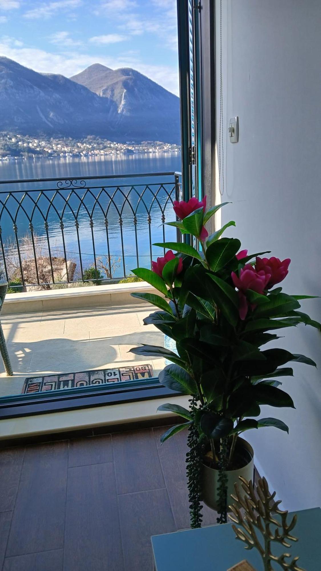Apartment Funny Kotor Exterior photo